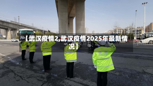 【武汉疫情2,武汉疫情2025年最新情况】