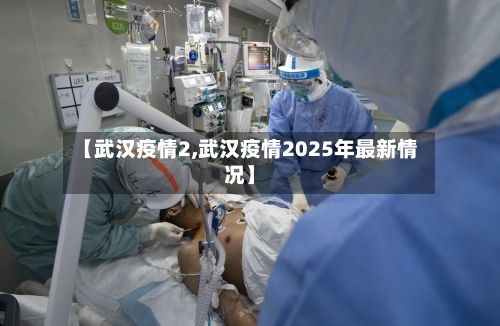 【武汉疫情2,武汉疫情2025年最新情况】-第2张图片