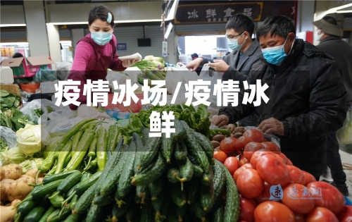 疫情冰场/疫情冰鲜-第3张图片