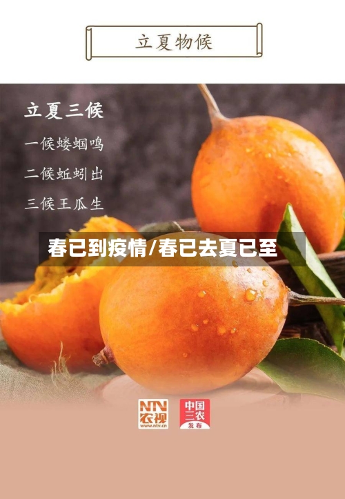春已到疫情/春已去夏已至-第2张图片