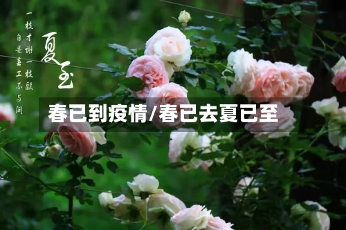 春已到疫情/春已去夏已至