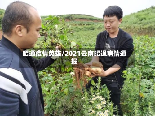 昭通疫情英雄/2021云南昭通病情通报-第2张图片
