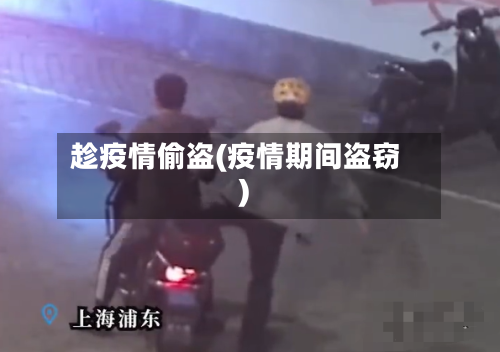 趁疫情偷盗(疫情期间盗窃)