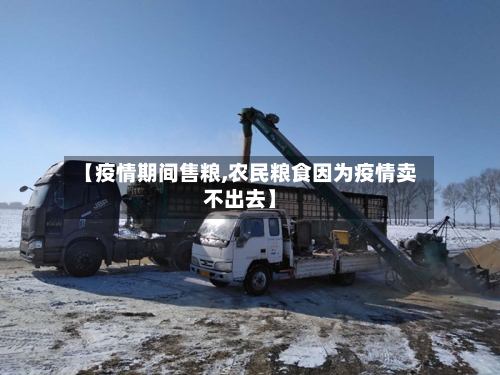 【疫情期间售粮,农民粮食因为疫情卖不出去】-第3张图片