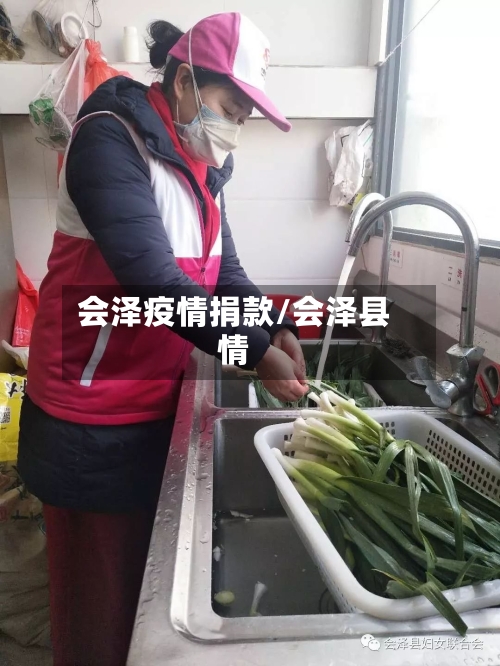 会泽疫情捐款/会泽县情