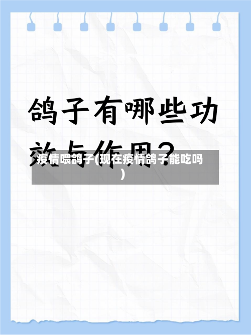 疫情喂鸽子(现在疫情鸽子能吃吗)-第2张图片