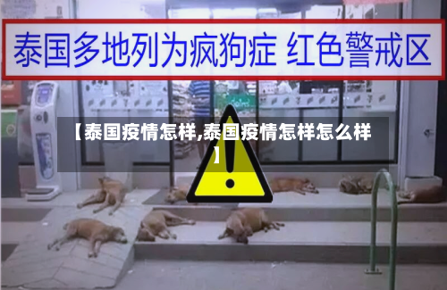 【泰国疫情怎样,泰国疫情怎样怎么样】