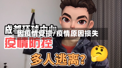 因疫情受损/疫情原因损失