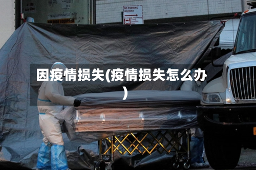 因疫情损失(疫情损失怎么办)
