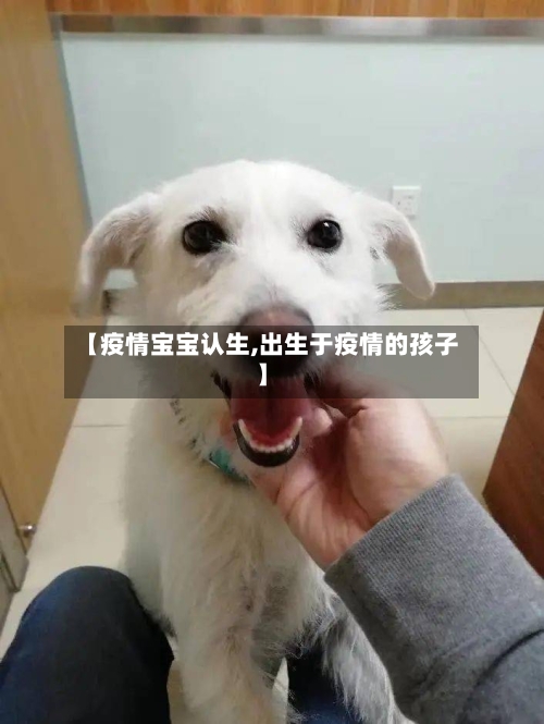 【疫情宝宝认生,出生于疫情的孩子】