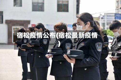 宿松疫情公布(宿松最新疫情)-第2张图片
