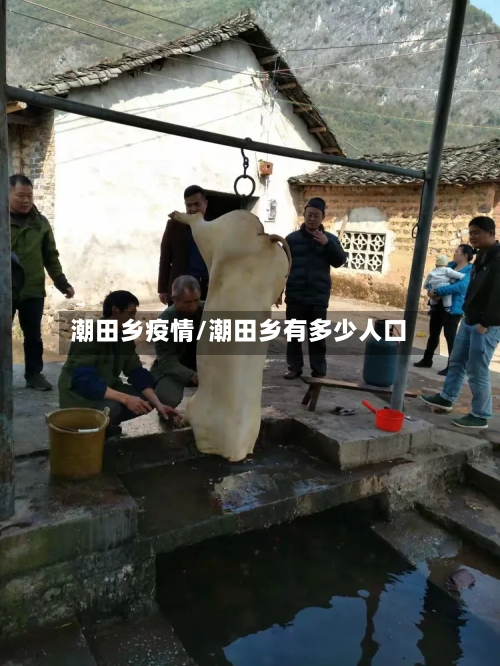 潮田乡疫情/潮田乡有多少人口-第3张图片