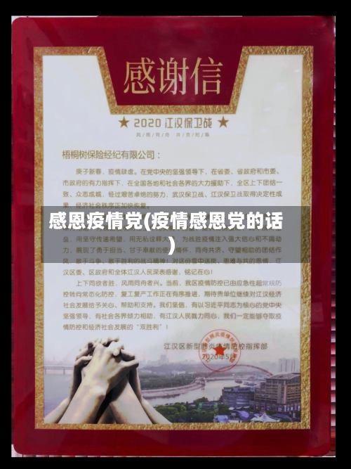 感恩疫情党(疫情感恩党的话)