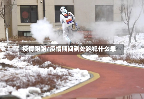 疫情跑路/疫情期间到处跑犯什么罪-第2张图片
