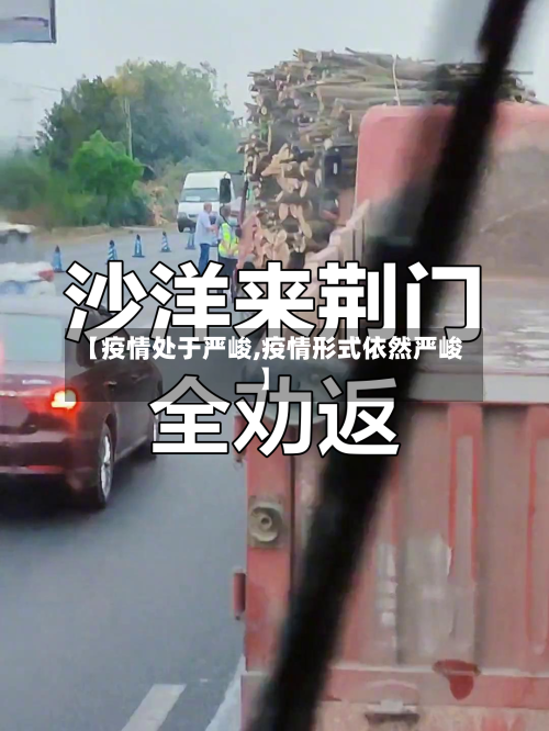 【疫情处于严峻,疫情形式依然严峻】