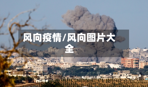 风向疫情/风向图片大全