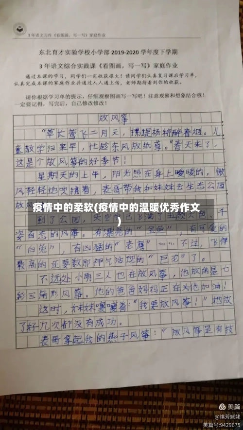 疫情中的柔软(疫情中的温暖优秀作文)