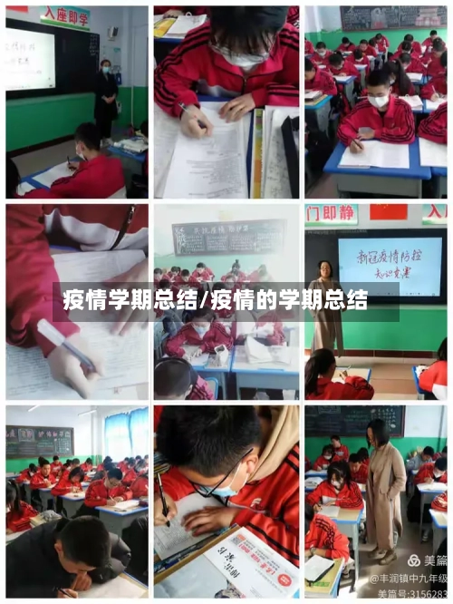 疫情学期总结/疫情的学期总结