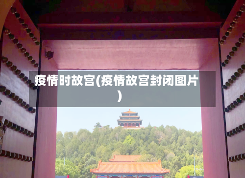 疫情时故宫(疫情故宫封闭图片)
