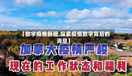 【数字疫情新闻,探索疫情数字背后的消息】