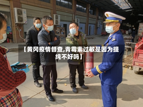 【黄冈疫情督查,青霉素过敏是因为提纯不好吗】-第2张图片