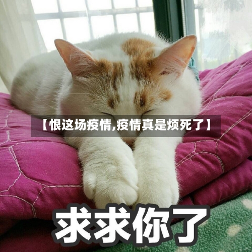 【恨这场疫情,疫情真是烦死了】-第2张图片
