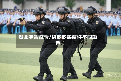 湖北学警疫情/拼多多买两件不同颜色