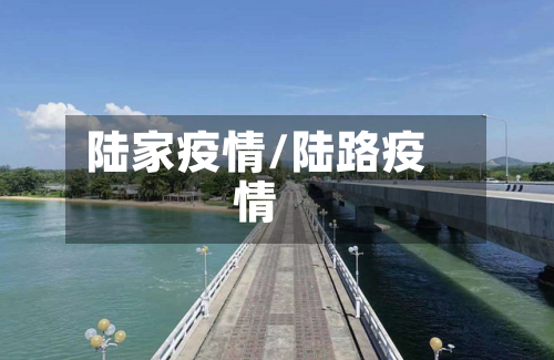 陆家疫情/陆路疫情