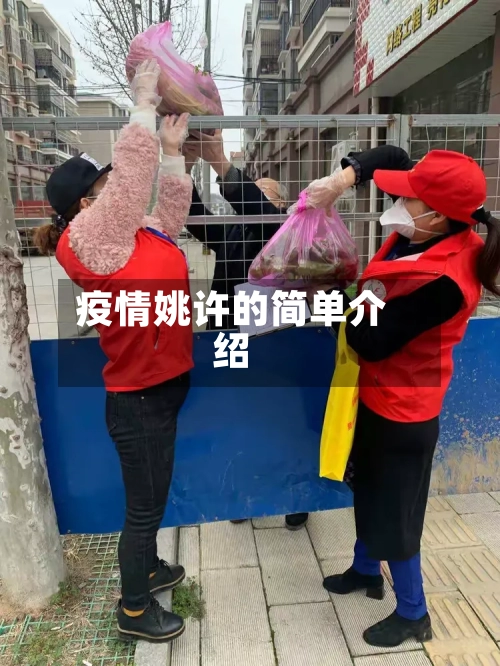 疫情姚许的简单介绍