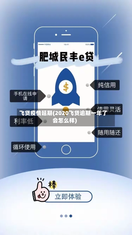 飞贷疫情延期(2020飞贷逾期一年了会怎么样)