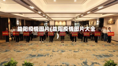 益阳疫情图片(益阳疫情图片大全)