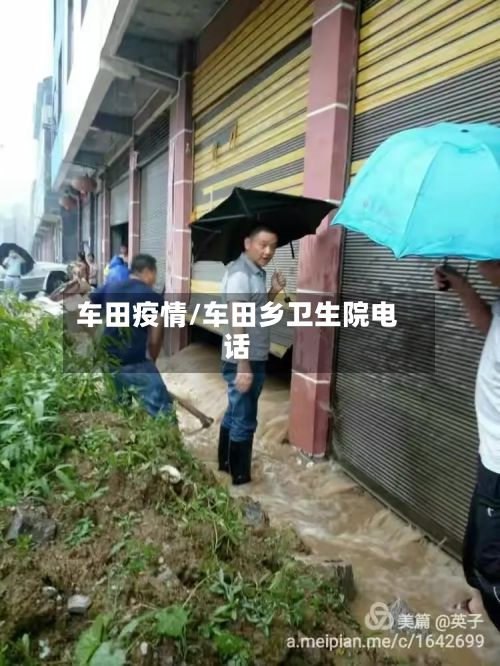 车田疫情/车田乡卫生院电话