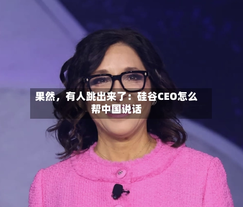 果然，有人跳出来了：硅谷CEO怎么帮中国说话-第2张图片