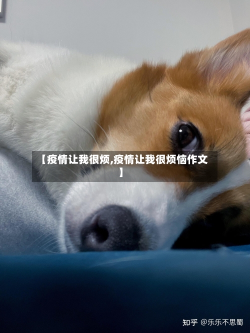 【疫情让我很烦,疫情让我很烦恼作文】