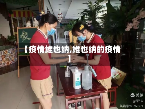 【疫情维也纳,维也纳的疫情】-第3张图片