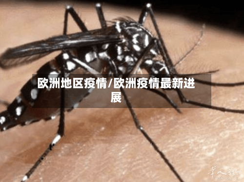 欧洲地区疫情/欧洲疫情最新进展-第2张图片