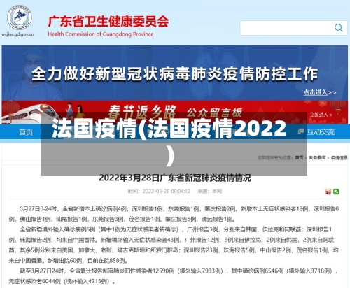 法国疫情(法国疫情2022)-第2张图片