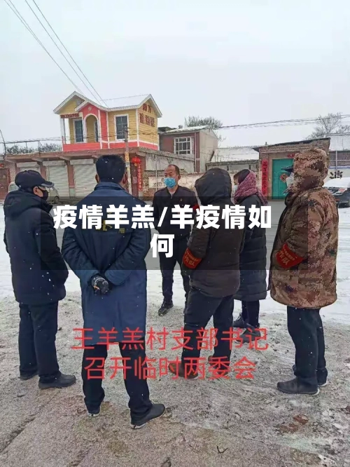 疫情羊羔/羊疫情如何