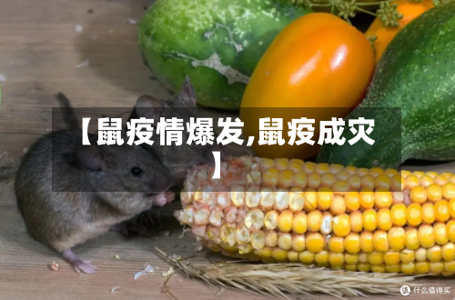 【鼠疫情爆发,鼠疫成灾】-第2张图片