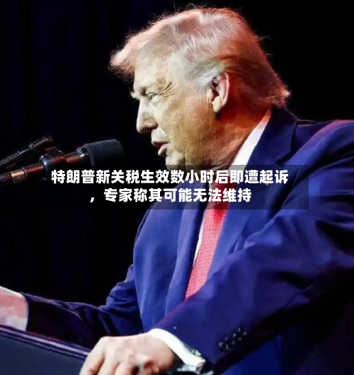 特朗普新关税生效数小时后即遭起诉	，专家称其可能无法维持-第3张图片