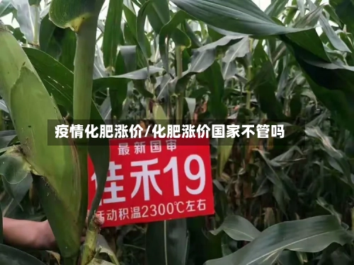 疫情化肥涨价/化肥涨价国家不管吗-第2张图片