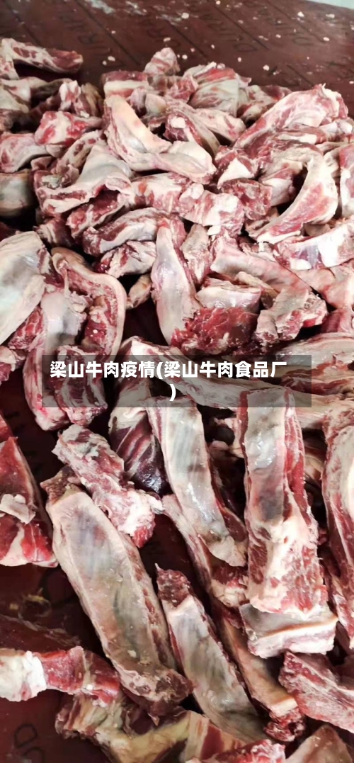 梁山牛肉疫情(梁山牛肉食品厂)
