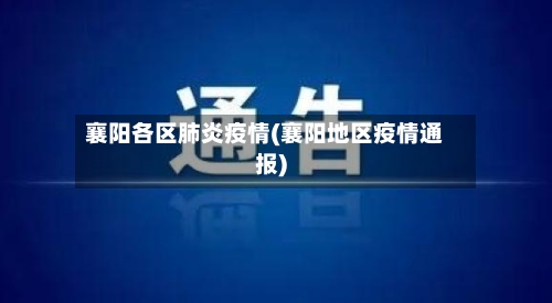 襄阳各区肺炎疫情(襄阳地区疫情通报)-第2张图片