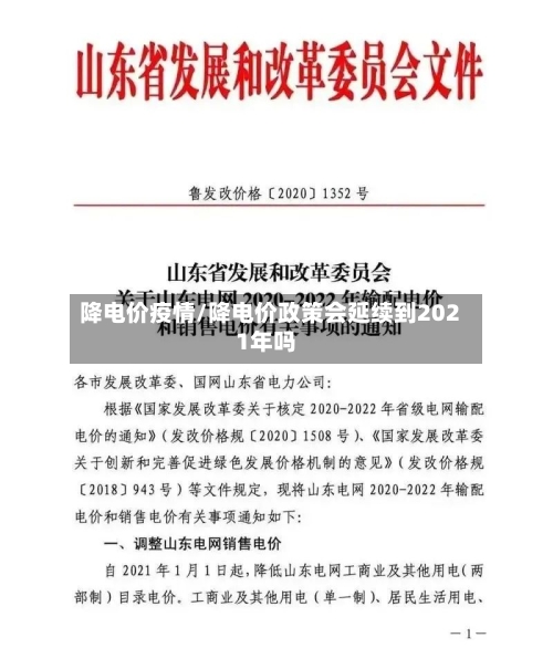 降电价疫情/降电价政策会延续到2021年吗-第3张图片