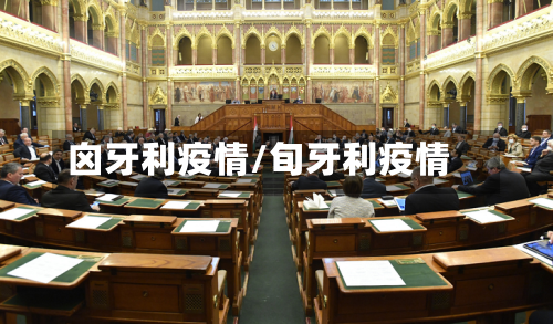 囟牙利疫情/旬牙利疫情-第2张图片