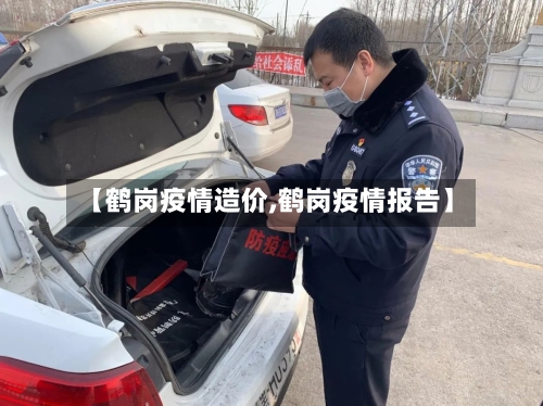 【鹤岗疫情造价,鹤岗疫情报告】