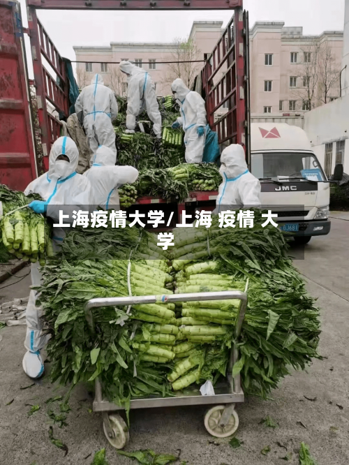 上海疫情大学/上海 疫情 大学