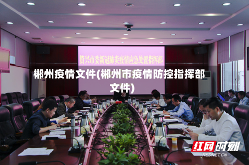 郴州疫情文件(郴州市疫情防控指挥部文件)