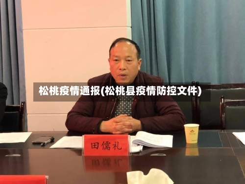 松桃疫情通报(松桃县疫情防控文件)