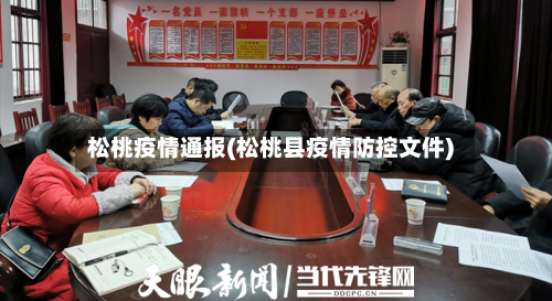 松桃疫情通报(松桃县疫情防控文件)-第3张图片